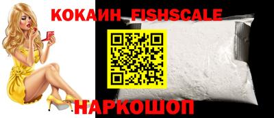 шишки Кандалакша