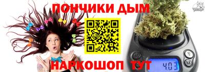 шишки Кандалакша