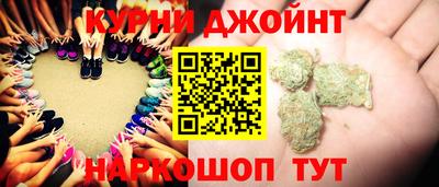 шишки Кандалакша