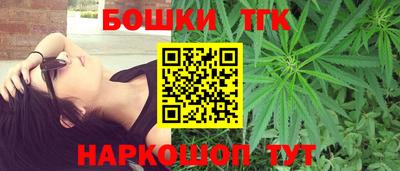 шишки Кандалакша