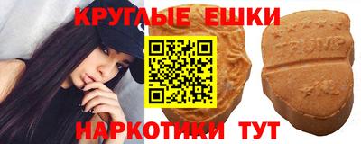 шишки Кандалакша