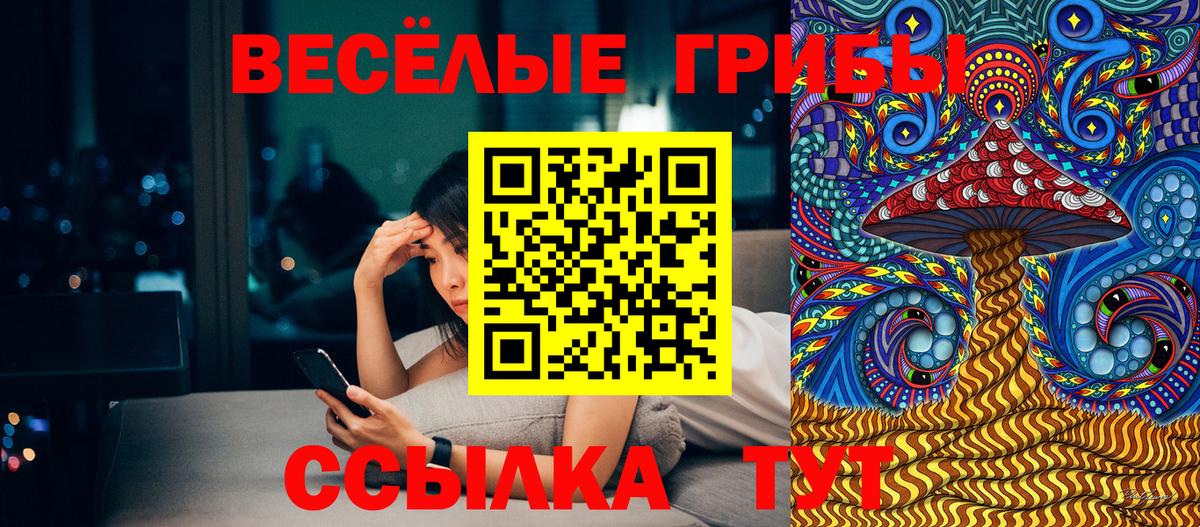 Галлюциногенные грибы Psilocybe Магадан